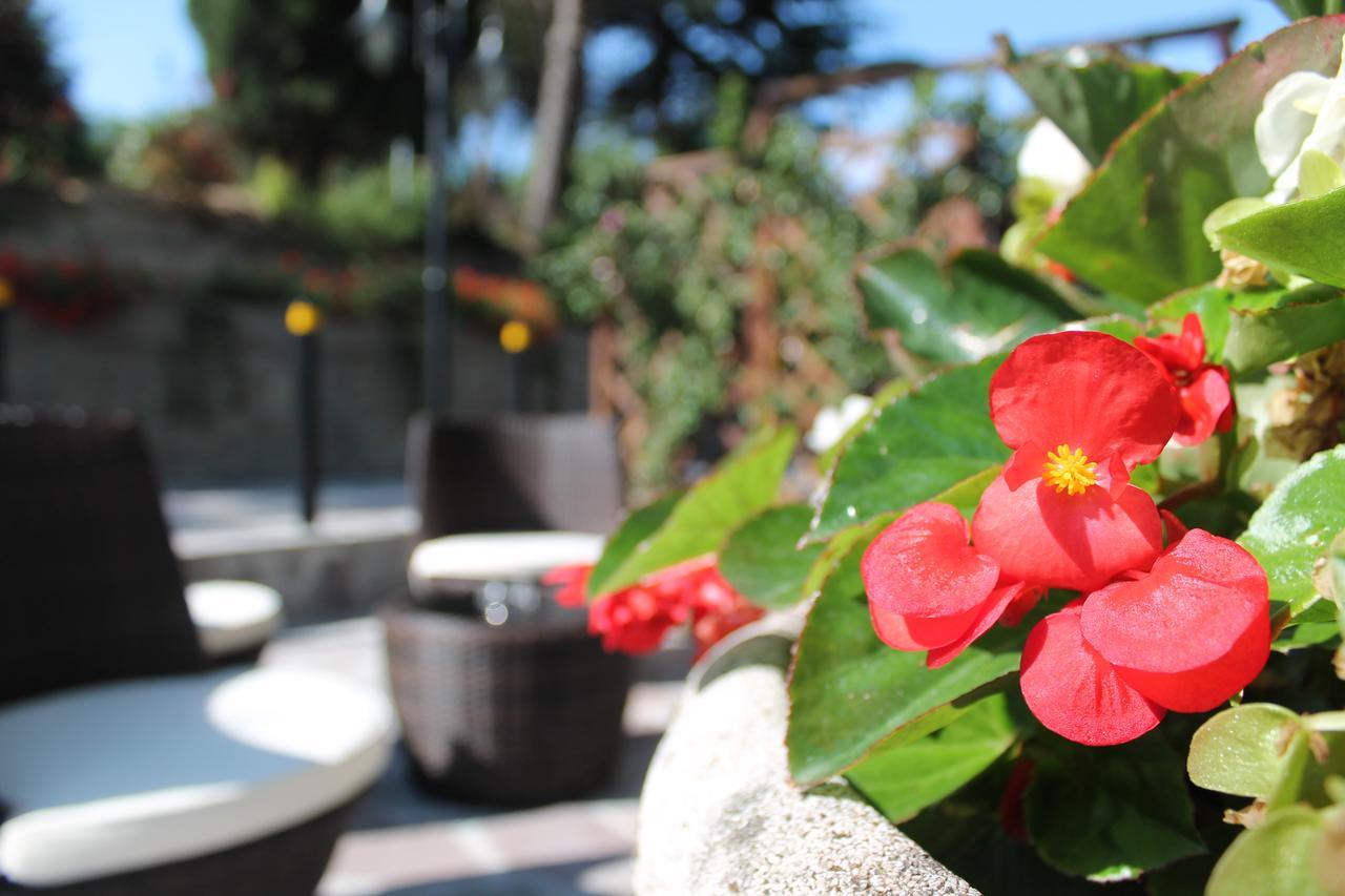 Albergo Centopini Gemmano ภายนอก รูปภาพ